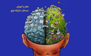 مغز و آموزش